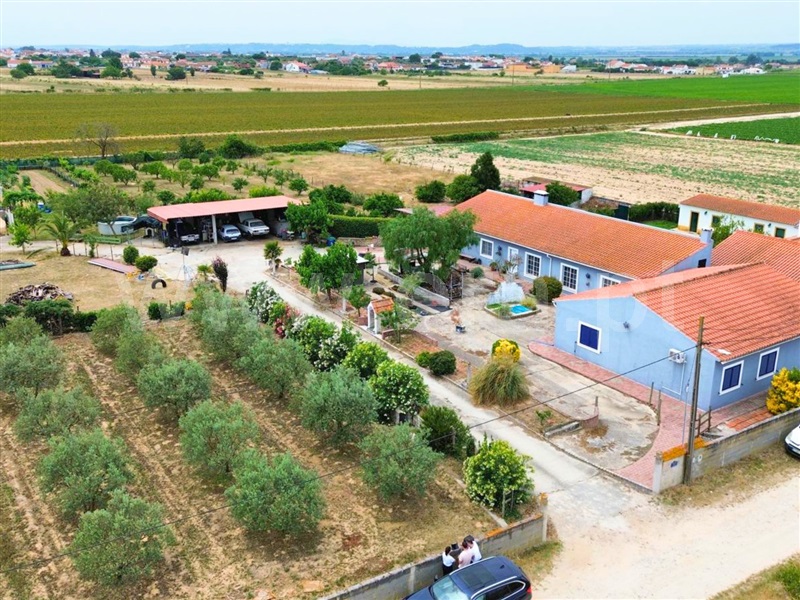 Moradia T4 / Alpiarça, Alpiarça