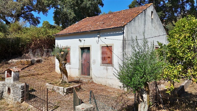 Moradia T4 Alvaiázere - 1506318 - 19