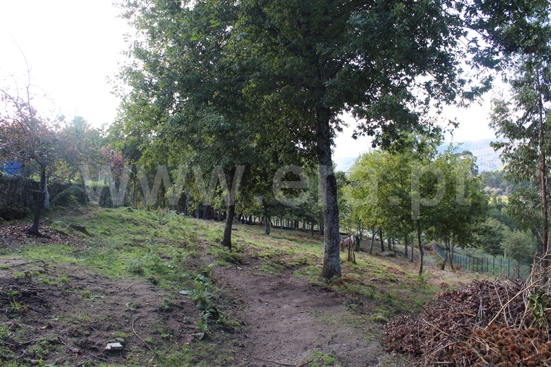Moradia T4 Arcos de Valdevez, Cabana Maior - 1070546 - 20
