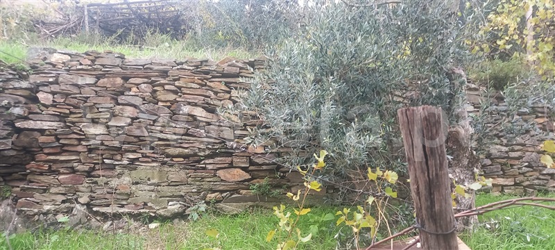 Moradia T4 Arganil, Arganil - 1367318 - 4