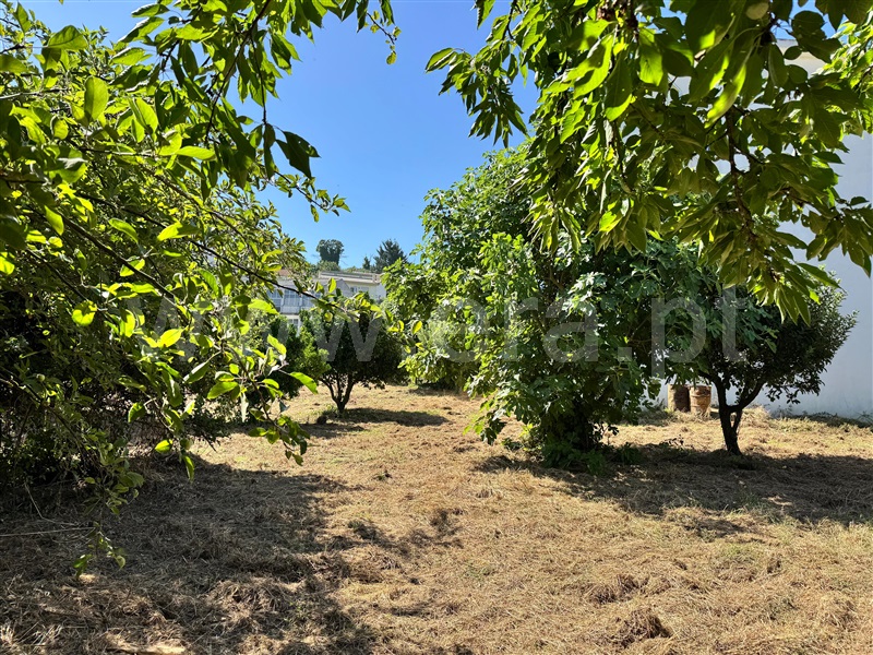 Moradia T4 à venda em Fontelo, Armamar — foto 17