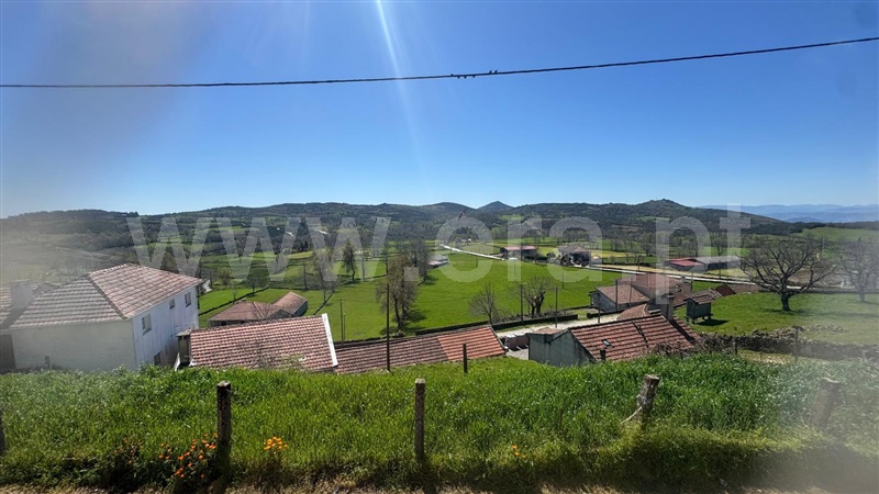 Moradia T4 Boticas, Vilar e Viveiro - 1478231 - 19