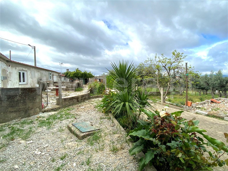 Moradia T4 à venda em Ninho do Açor e Sobral do Campo, Castelo Branco — foto 10