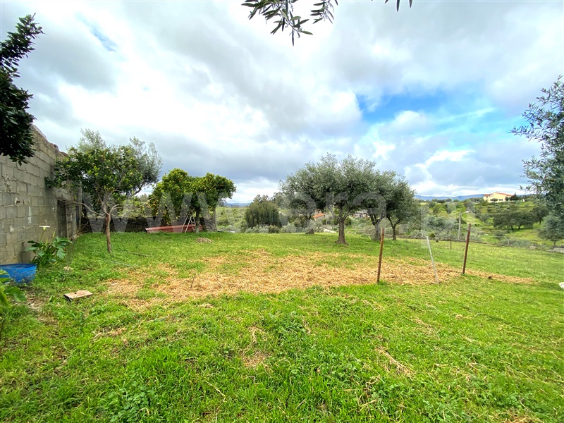 Moradia T4 à venda em Ninho do Açor e Sobral do Campo, Castelo Branco — foto 13