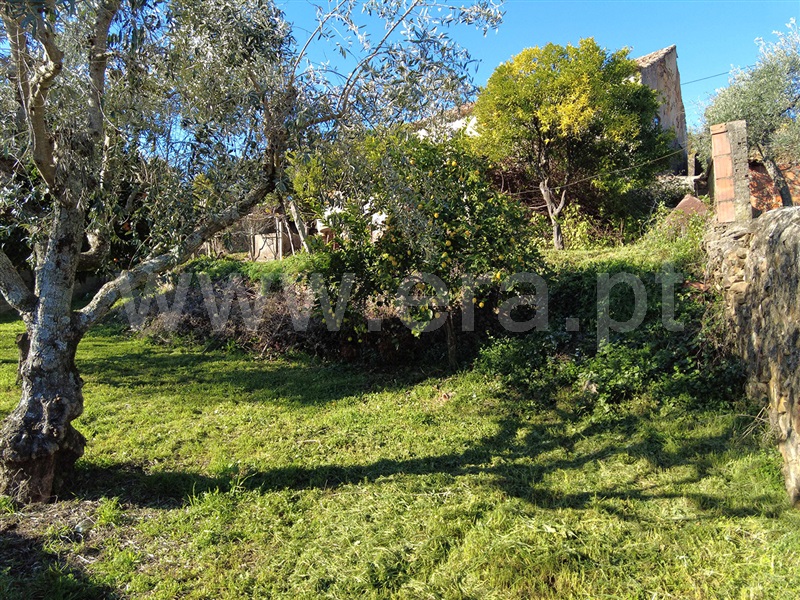 Moradia T4 Castelo Branco, Sobral do Campo - 1490048 - 19