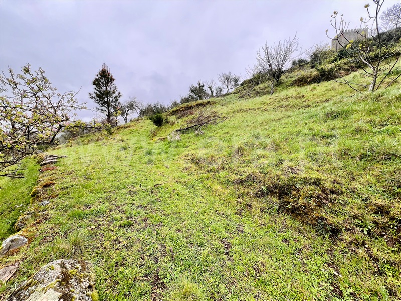 Moradia  Sintra, Sintra (Santa Maria e São Miguel, São Martinho e São Pedro de Penaferrim) - 1396510 - 43