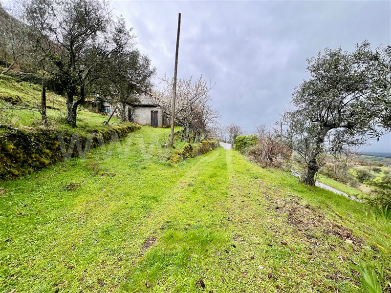 Moradia  Sintra, Sintra (Santa Maria e São Miguel, São Martinho e São Pedro de Penaferrim) - 1396510 - 48