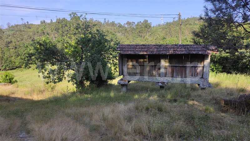 Moradia T4 Celorico de Basto, Rego - 1488269 - 2