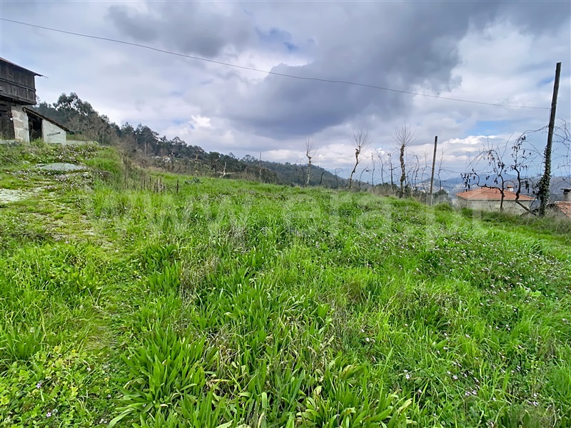 Moradia T4 à venda em Ribas, Celorico de Basto — foto 18