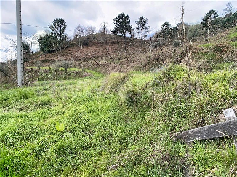 Moradia T4 à venda em Ribas, Celorico de Basto — foto 20