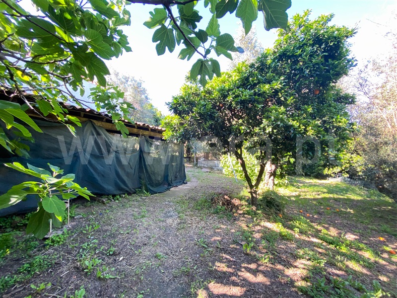 Moradia T4 à venda em Soalheira, Fundão — foto 18