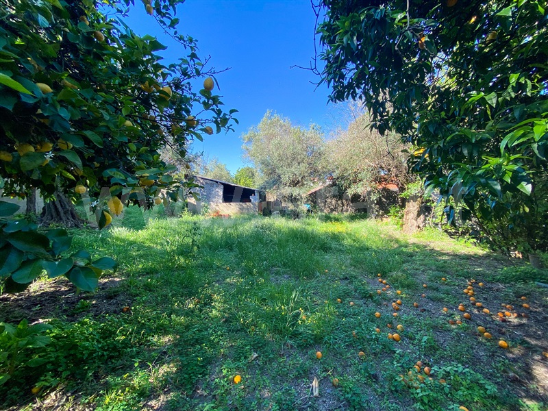 Moradia T4 à venda em Soalheira, Fundão — foto 20