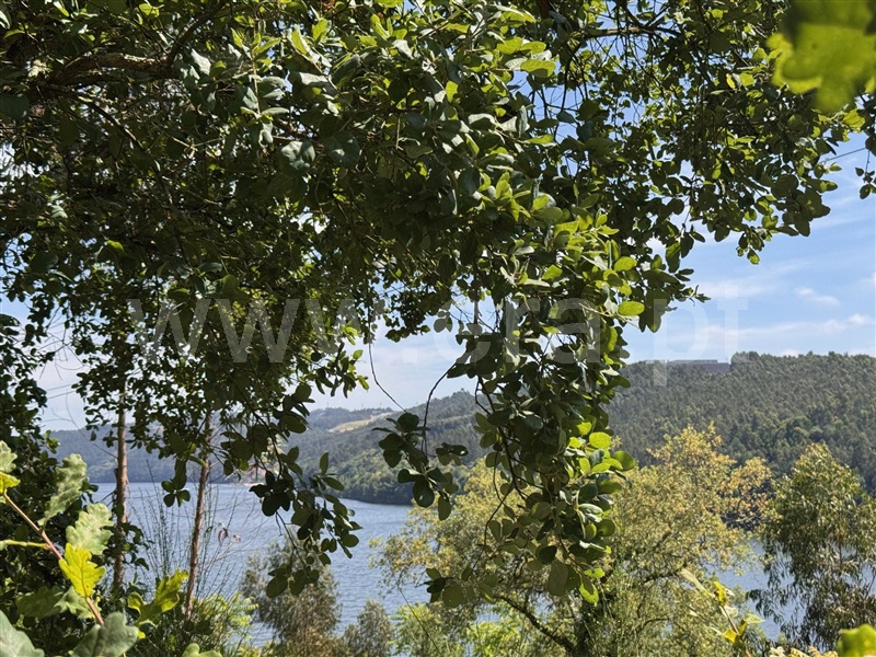 Moradia  Gondomar, Gondomar (São Cosme), Valbom e Jovim - 1489209 - 14