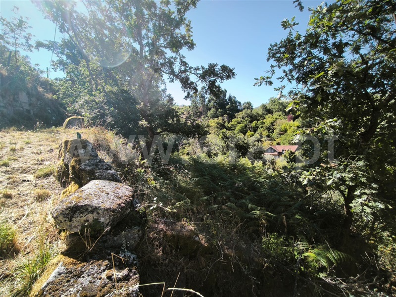 Moradia T4 com Quintal Gouveia, Aldeias e Mangualde da Serra - 1479222 - 23