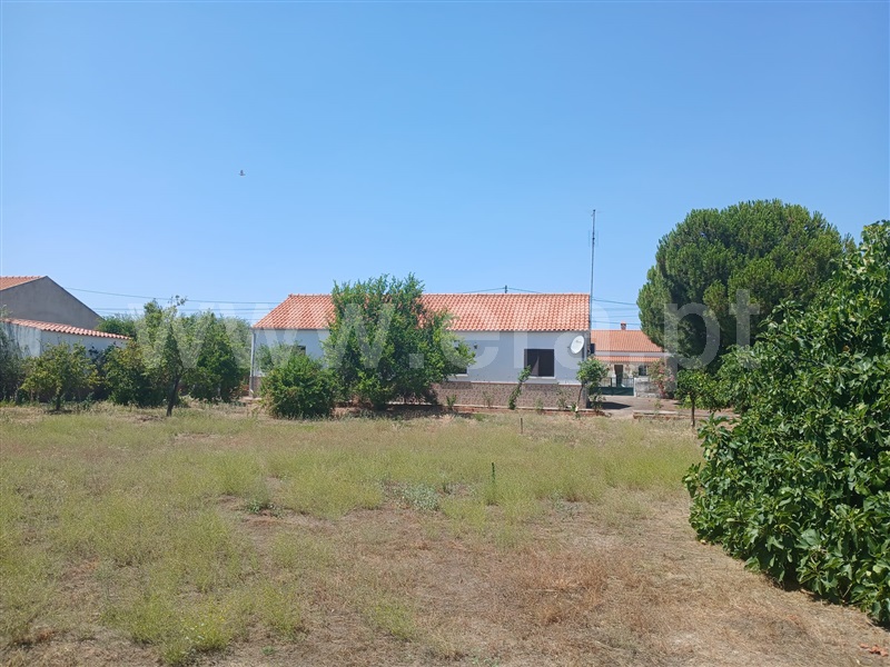 Moradia T4 Idanha-a-Nova, Zebreira - 1487040 - 3