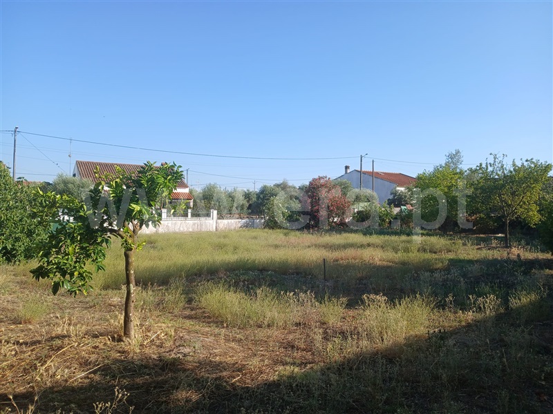Moradia T4 Idanha-a-Nova, Zebreira - 1487040 - 10