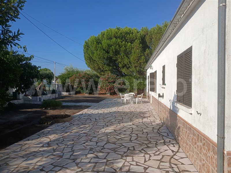 Moradia T4 Idanha-a-Nova, Zebreira - 1487040 - 11