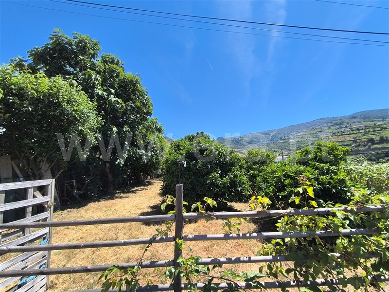 Moradia T4 à venda em Cambres, Lamego — foto 4