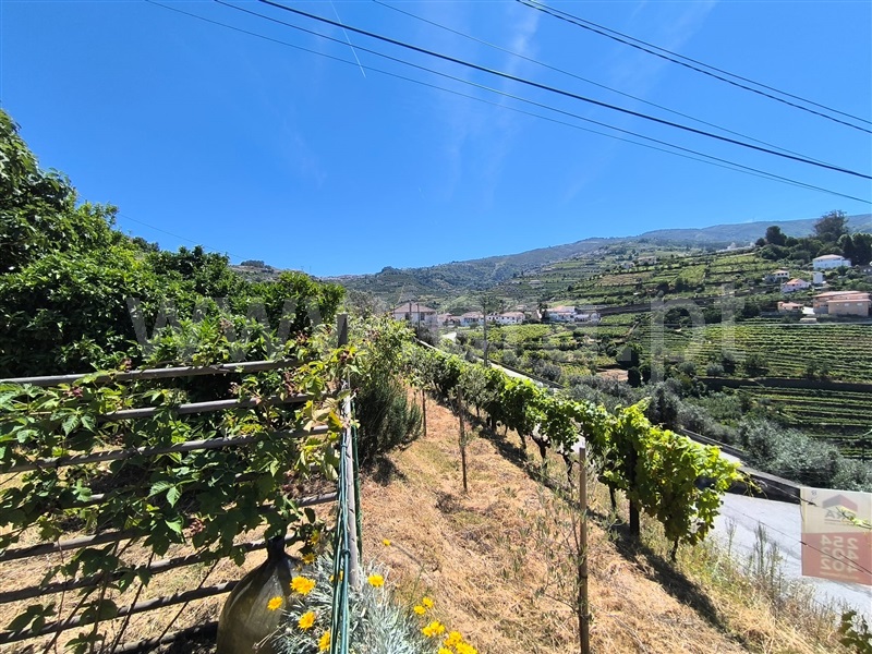 Moradia T4 à venda em Cambres, Lamego — foto 5