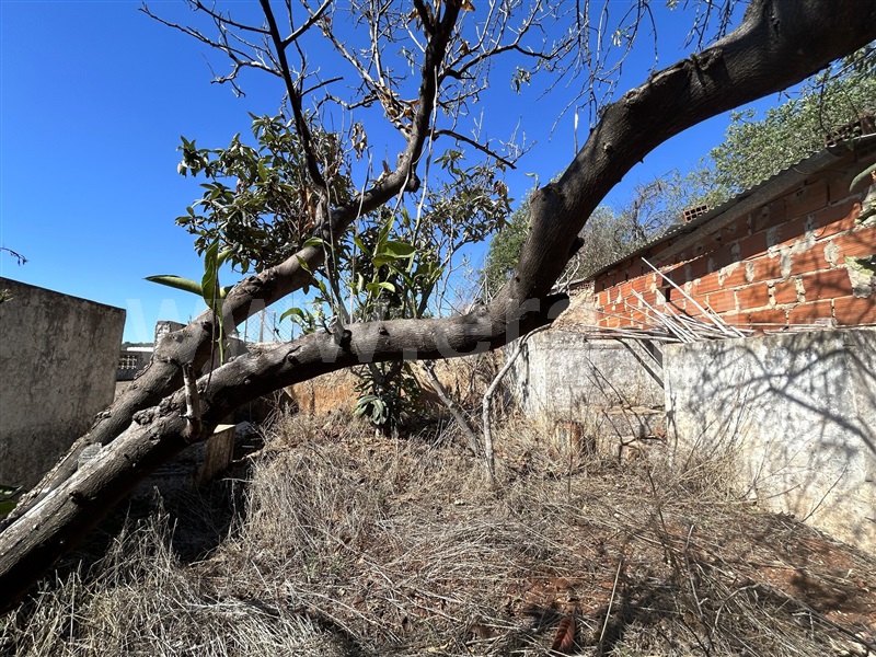 Moradia T4 à venda em Salir, Loulé — foto 18