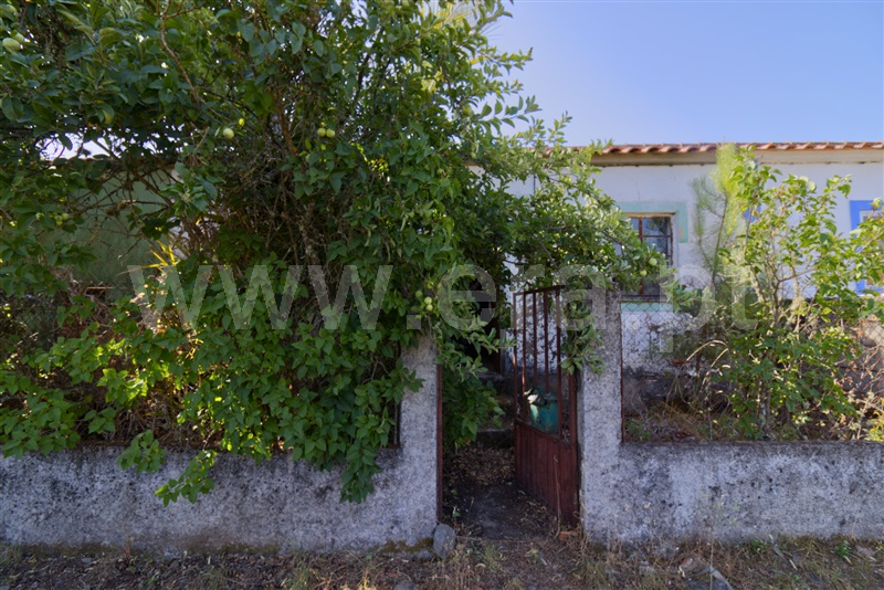 Moradia T4 Mação, Envendos - 1490968 - 11