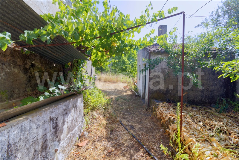 Moradia T4 Mação, Envendos - 1490968 - 15