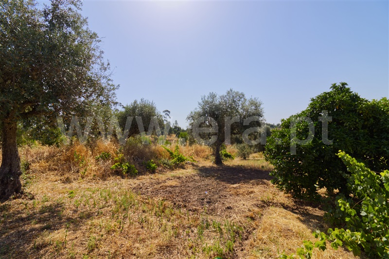 Moradia T4 Mação, Envendos - 1490968 - 24