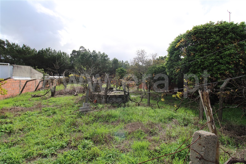 Moradia T4 Marinha Grande - 1258089 - 7