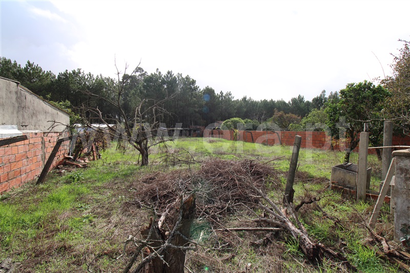 Moradia T4 Marinha Grande - 1258089 - 9