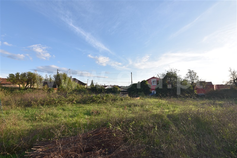 Moradia T4 Mealhada, Vacariça - 1450323 - 10