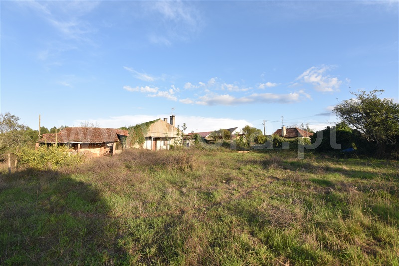 Moradia T4 Mealhada, Vacariça - 1450323 - 11