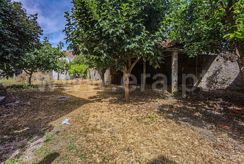 Moradia T5 Oliveira do Hospital, Andorinha - 1421019 - 11