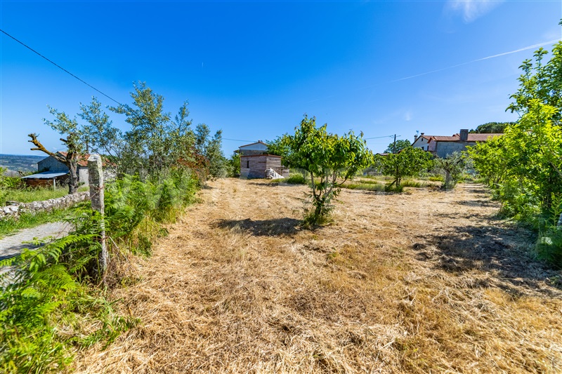 Moradia T4 à venda em Ervedal e Vila Franca da Beira, Oliveira do Hospital — foto 18