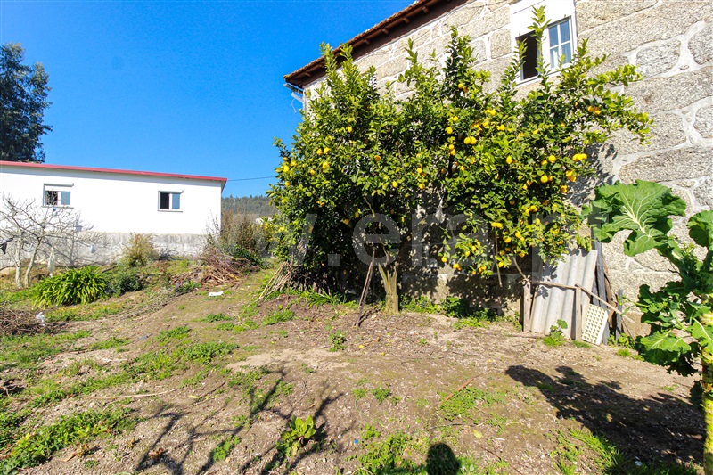 Quinta T4 com Grande Oliveira do Hospital, Lourosa - 1242459 - 14
