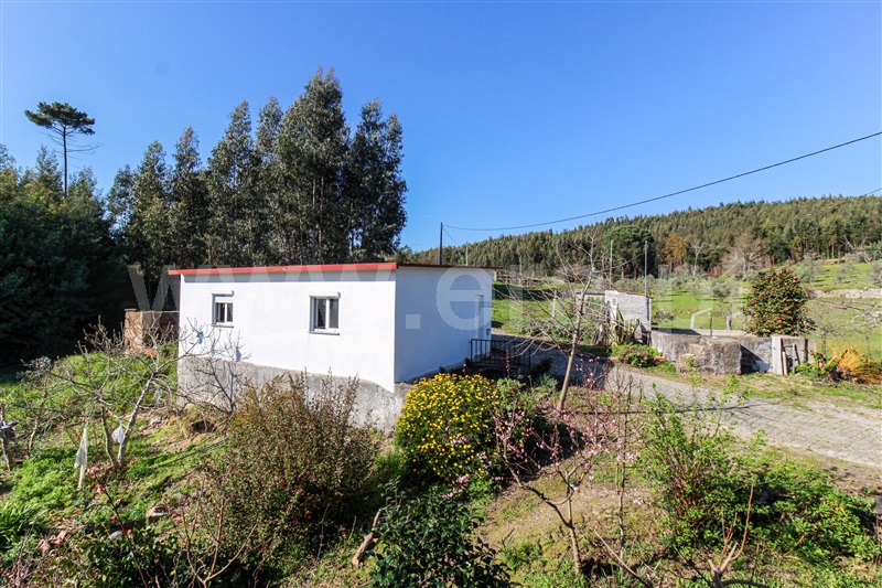 Quinta T4 com Grande Oliveira do Hospital, Lourosa - 1242459 - 22