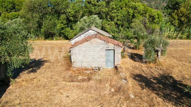 Moradia T4 com Terreno Ourém, Freixianda, Ribeira do Fárrio e Formigais - 1504023 - 18