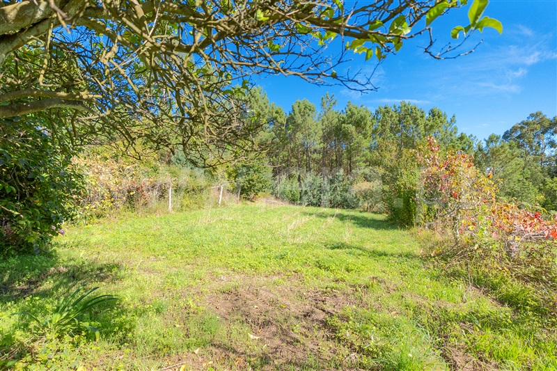 Moradia T4 à venda em Cossourado e Linhares, Paredes de Coura — foto 15