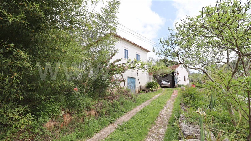 Moradia T4 Pombal, REDINHA - 1478047 - 3