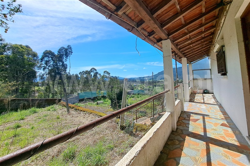 Moradia T4 Ponte de Lima, Moreira do Lima - 1286722 - 18