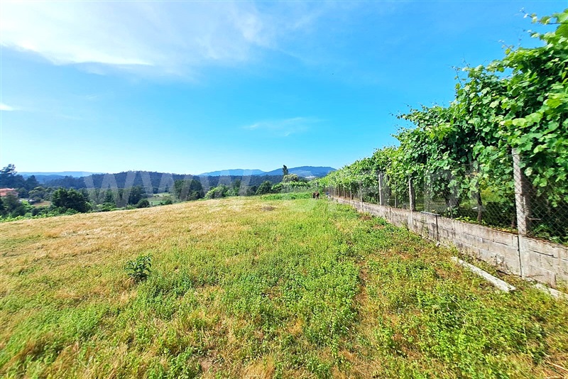 Moradia T3 Ponte de Lima, Vilar das Almas - 1488440 - 5