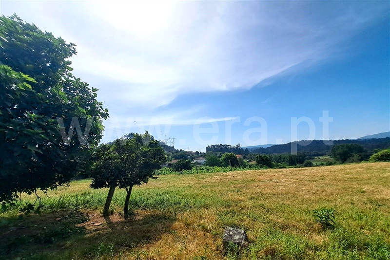Moradia T3 Ponte de Lima, Vilar das Almas - 1488440 - 6