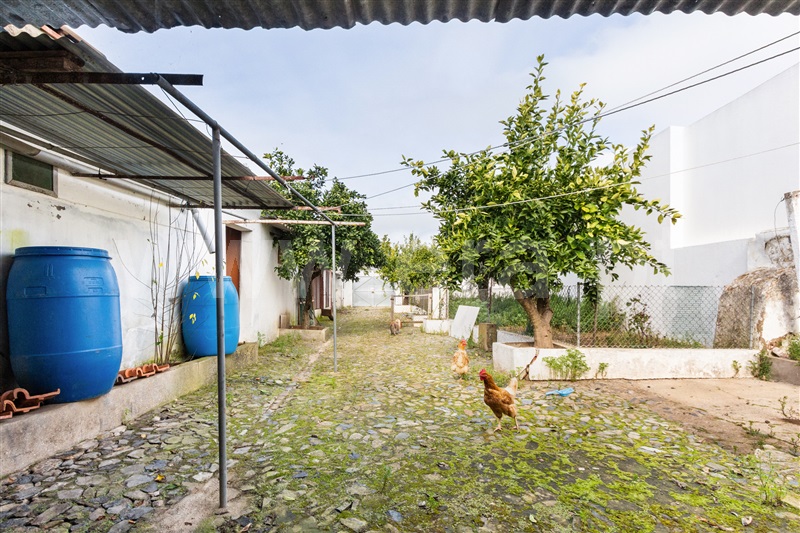 Moradia T4 com Quintal Portel, São Bartolomeu do Outeiro e Oriola - 1460540 - 10
