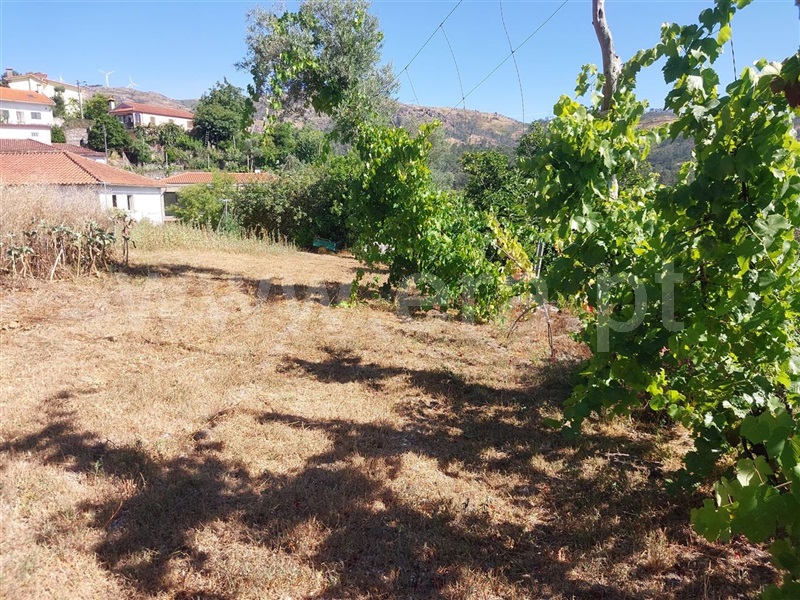 Moradia T4 Póvoa de Lanhoso, Sobradelo da Goma - 1499835 - 17