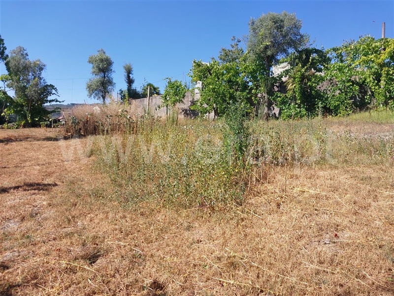 Moradia T4 Póvoa de Lanhoso, Sobradelo da Goma - 1499835 - 19