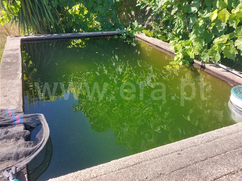 Moradia T4 Póvoa de Lanhoso, Sobradelo da Goma - 1499835 - 22