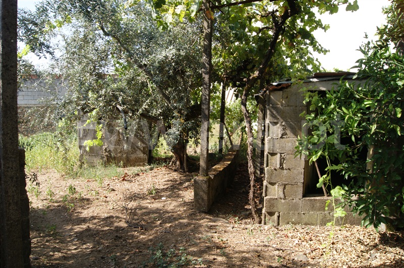 Moradia T4 à venda em Proença-a-Nova e Peral, Proença-a-Nova — foto 4