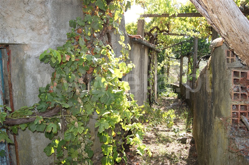 Moradia T4 à venda em Proença-a-Nova e Peral, Proença-a-Nova — foto 5