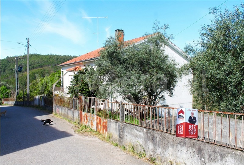 Moradia T4 / Proença-a-Nova, Sobreira Formosa