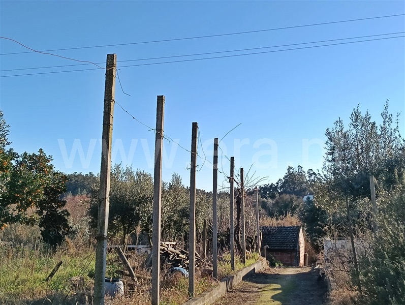 Moradia T4 Rio Maior, São João da Ribeira - 1455873 - 15