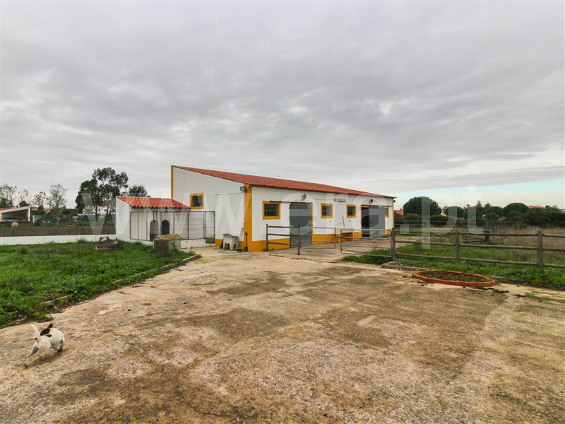 Moradia T4 Santarém, Vale de Santarém - 1467044 - 3